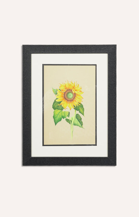 Miniature botanical hand painting (Framed)