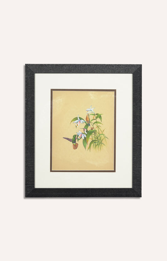 Miniature botanical hand painting (Framed)