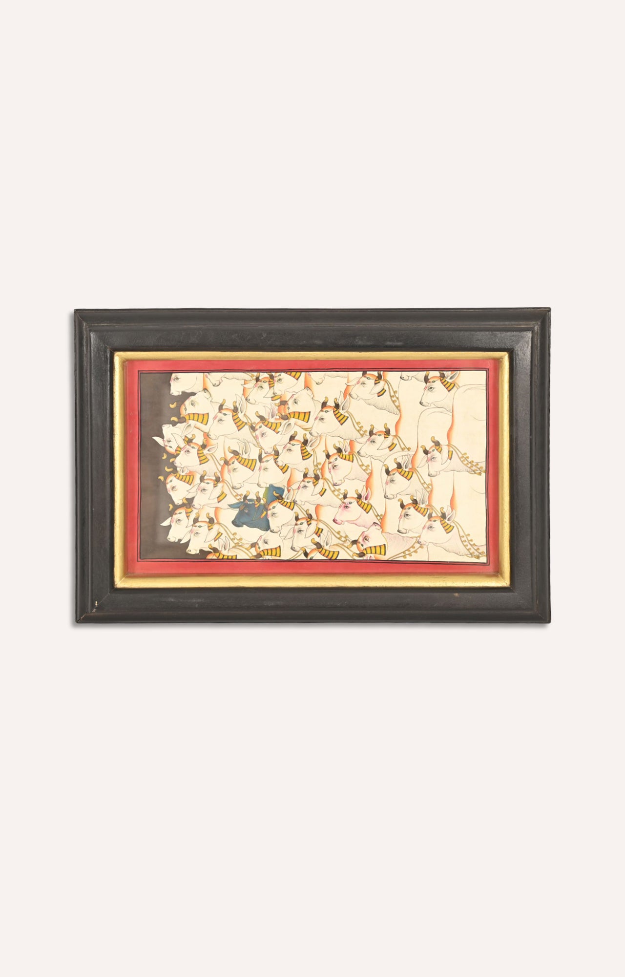 Evening pestoral of cows