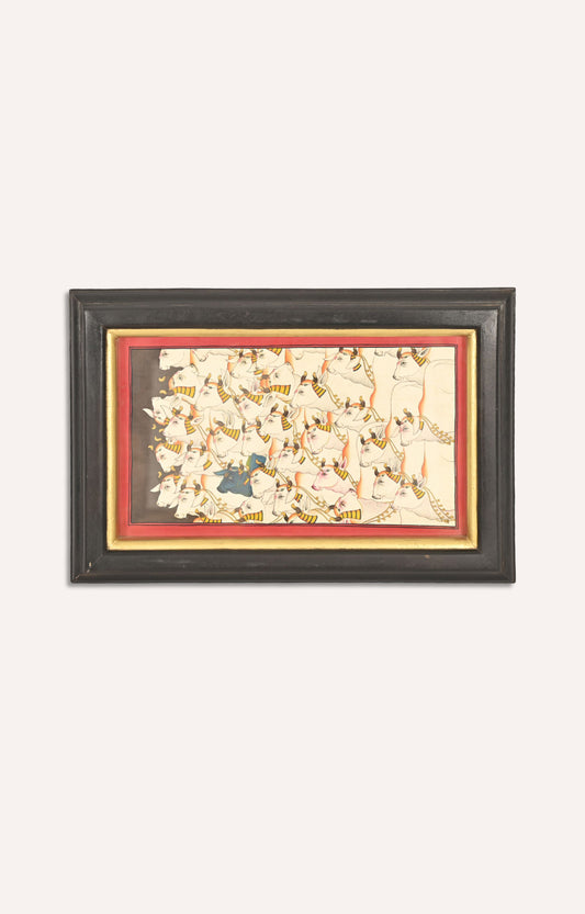 Evening pestoral of cows