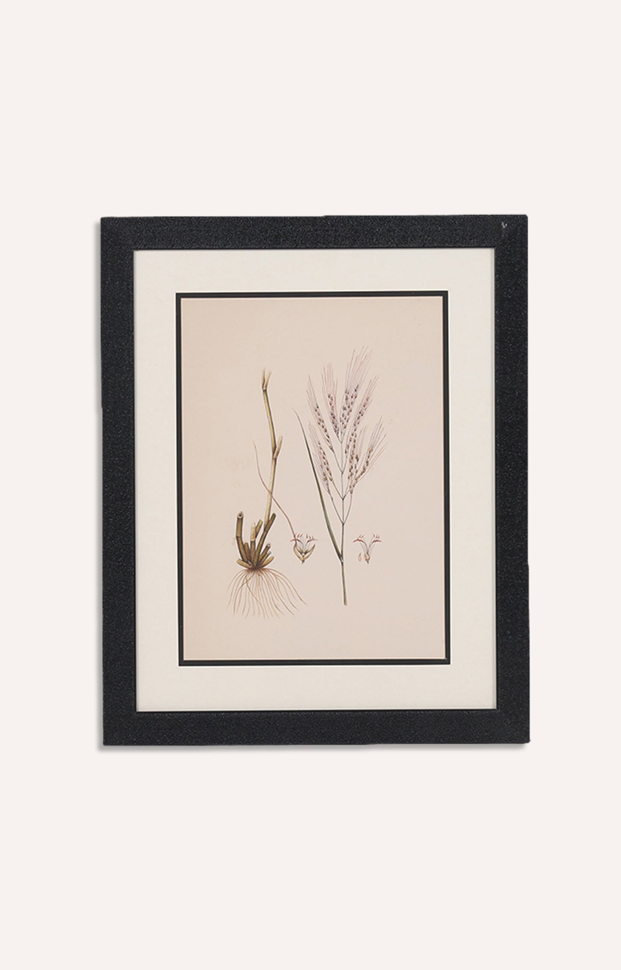 Water color Miniater