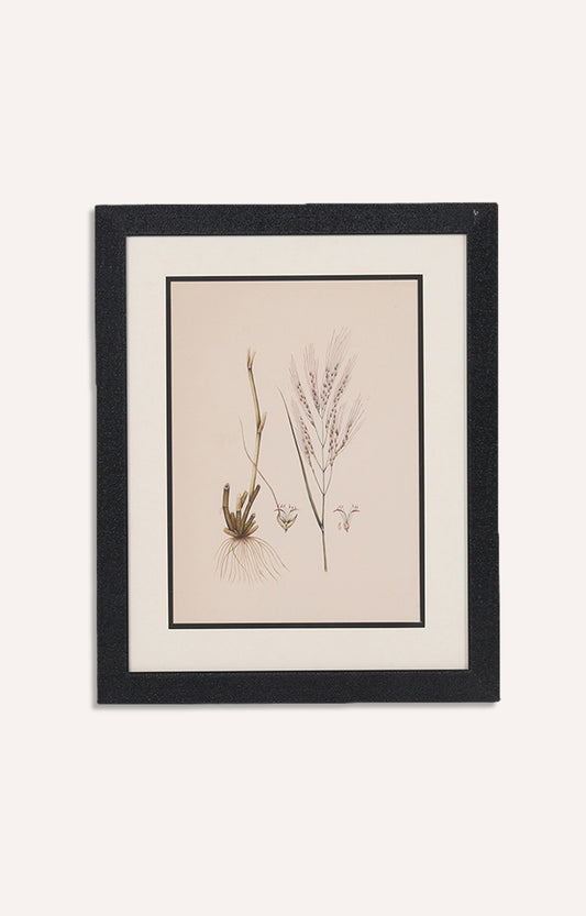 Water color Miniater