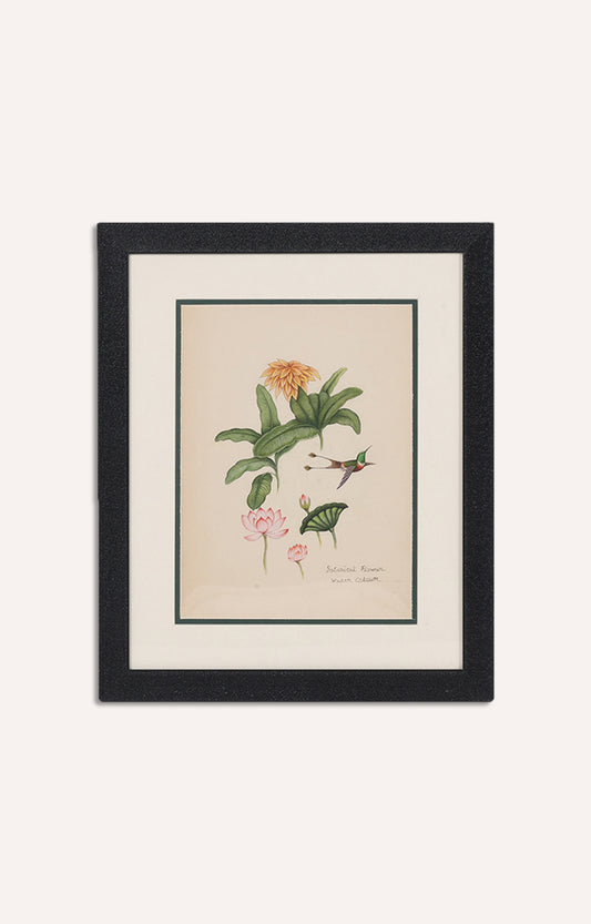 Water color Miniater