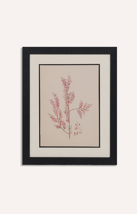 Water color Miniater