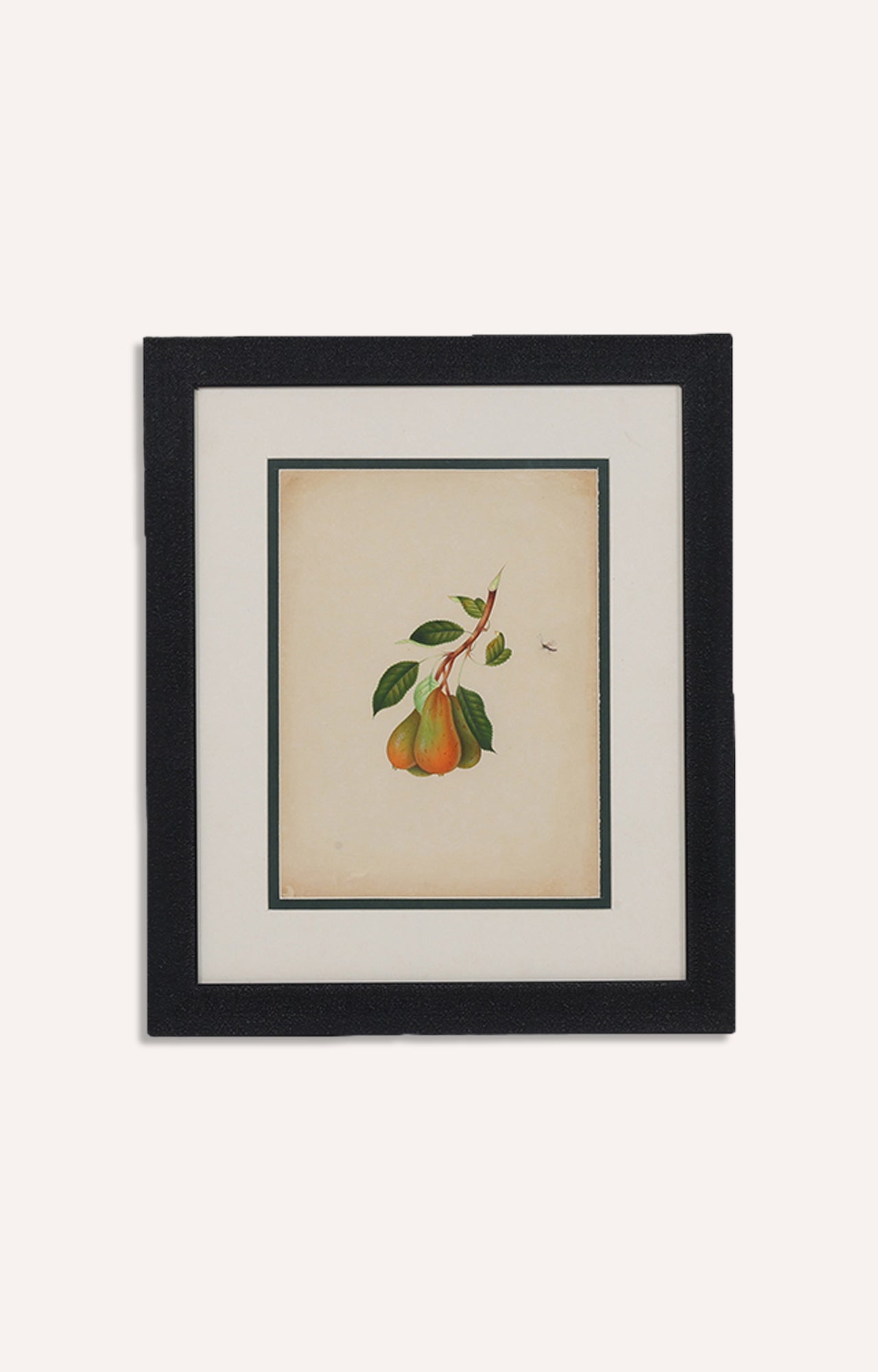 ITALIAN Yellow Pear Nature Painting