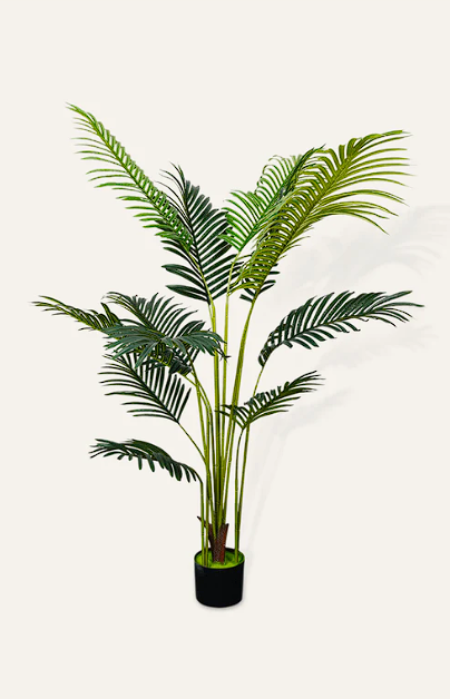 Artificial Areca Palm Plant – 5.5 Feet