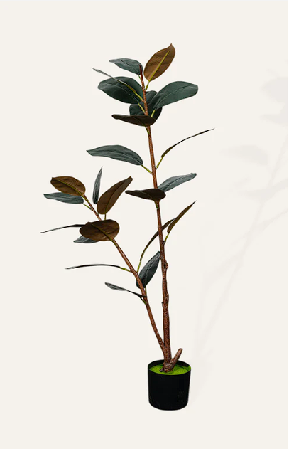Artificial Rubber Plant – 4 Feet