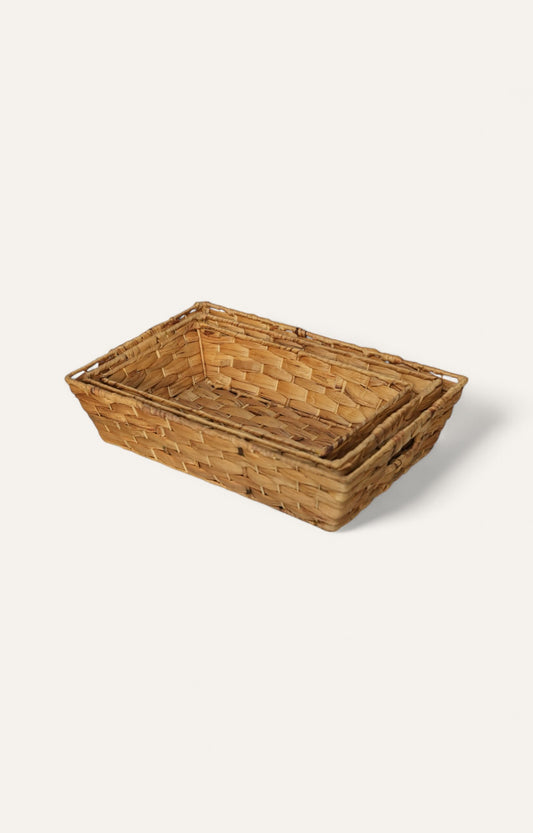 Wood Pulp Trays