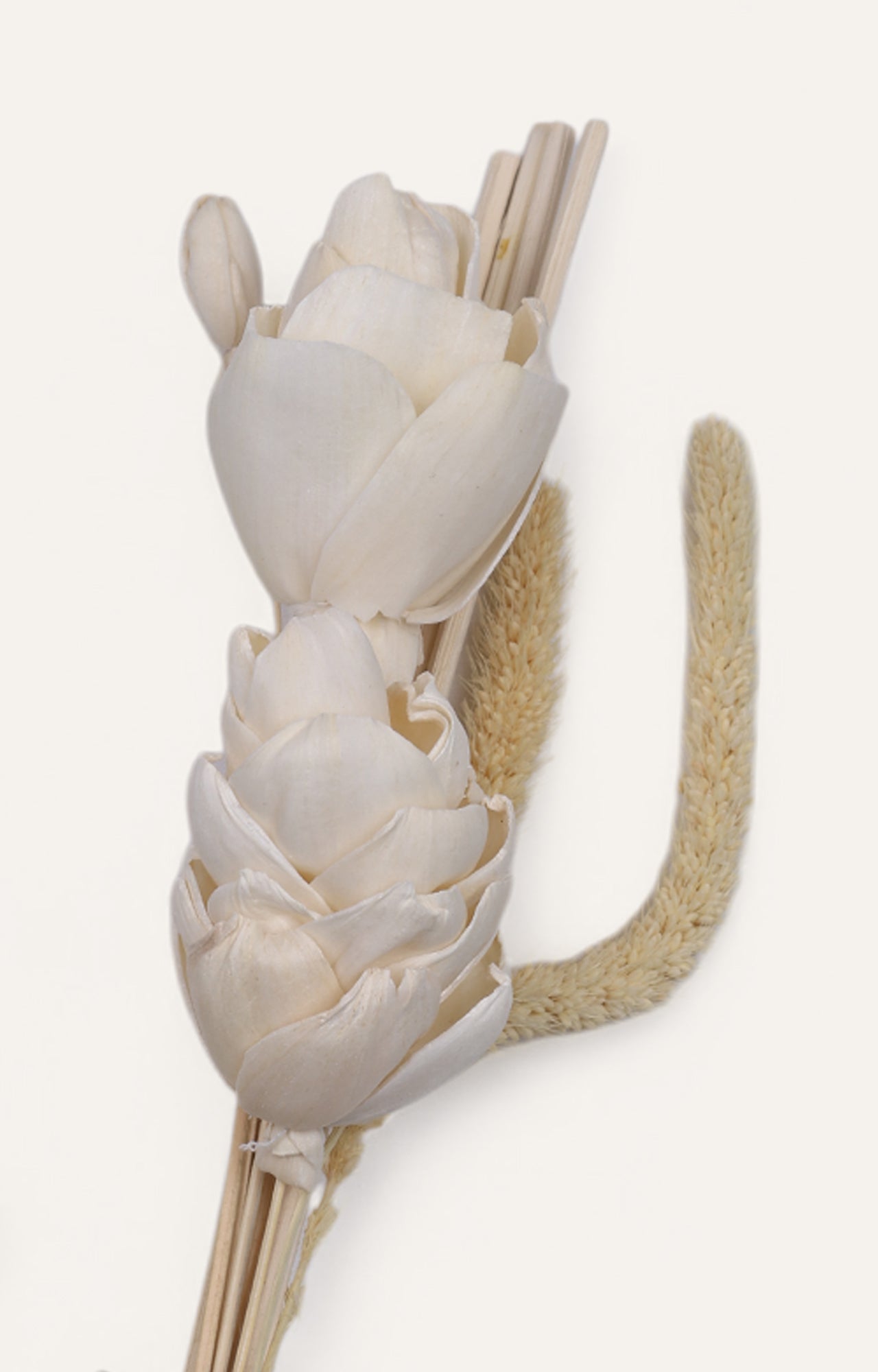 Aroma New Lattu Pine Reed Diffuser