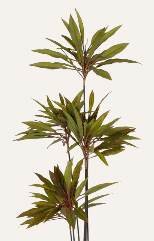 Artificial Cordyline Floor Plant – 5 ft