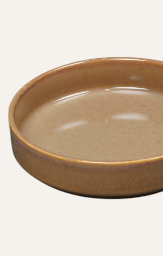 Earth-Toned Flat Ceramic Bowl