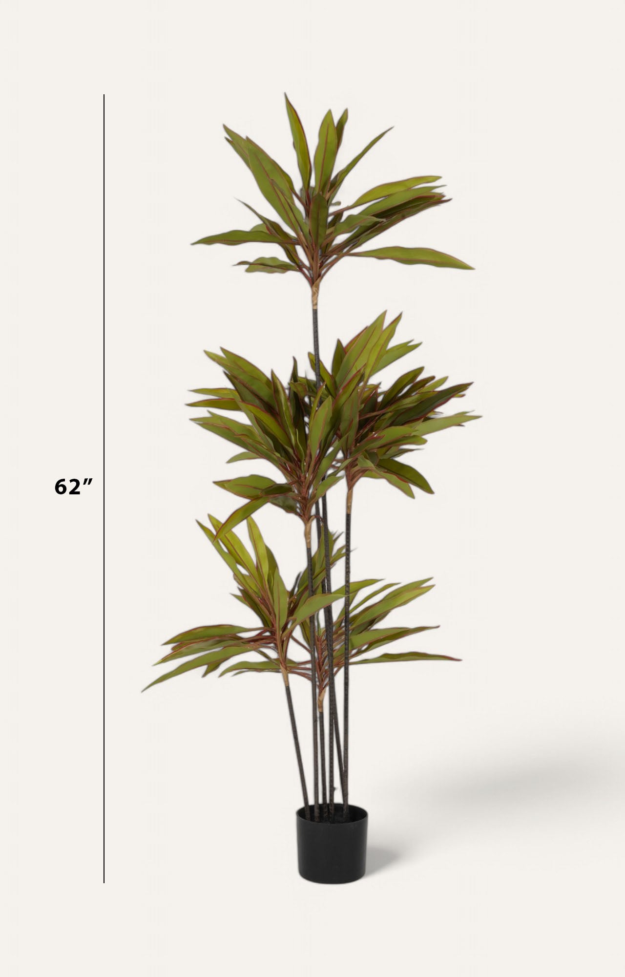 Artificial Cordyline Floor Plant – 5 ft