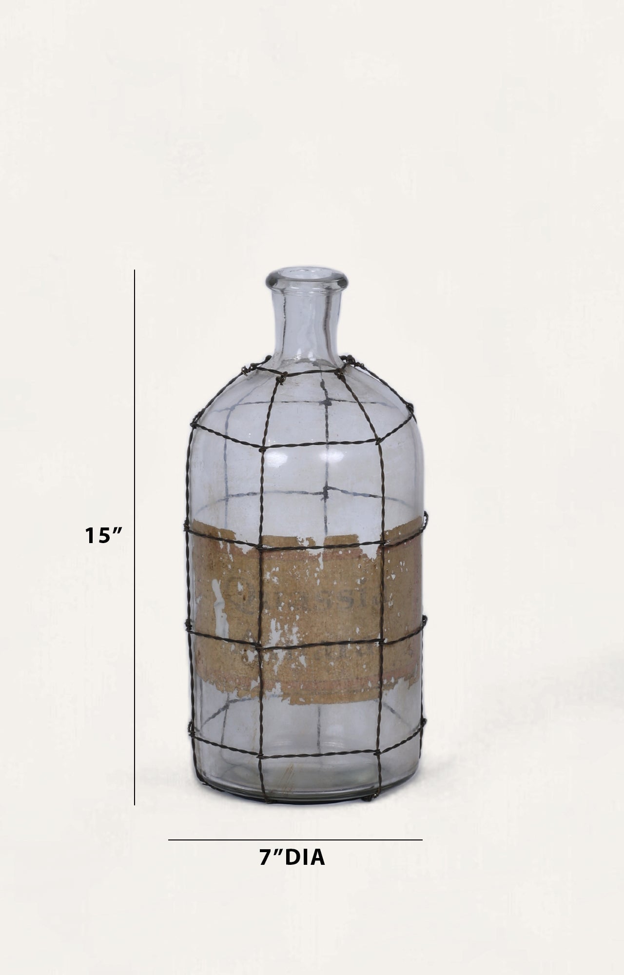 Jardiniere Wire-Caged Glass Vase/ bottle
